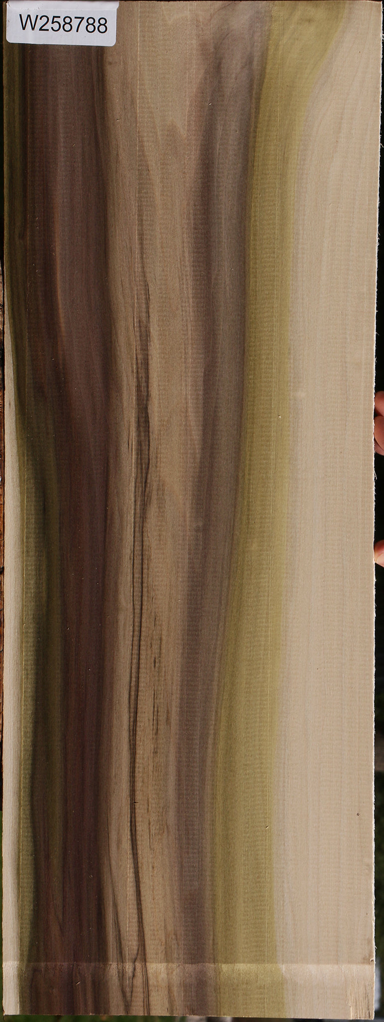 Figured Purple Poplar Lumber