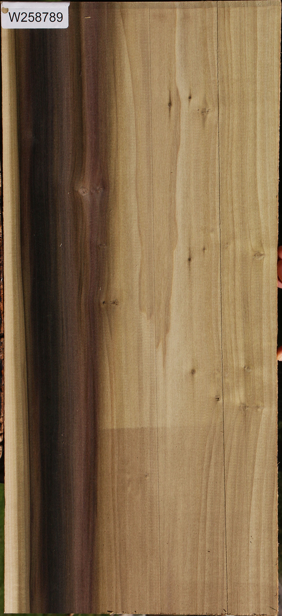 Figured Purple Poplar Lumber