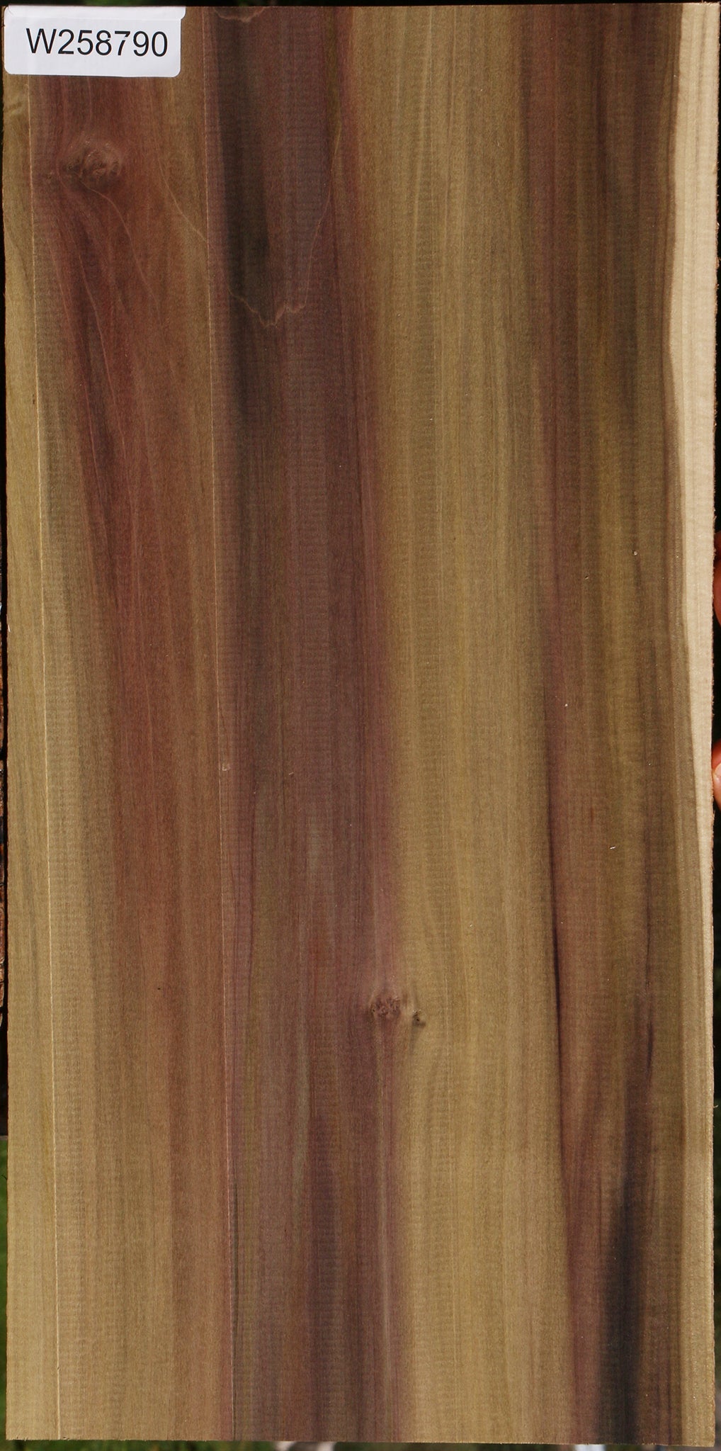Figured Purple Poplar Lumber