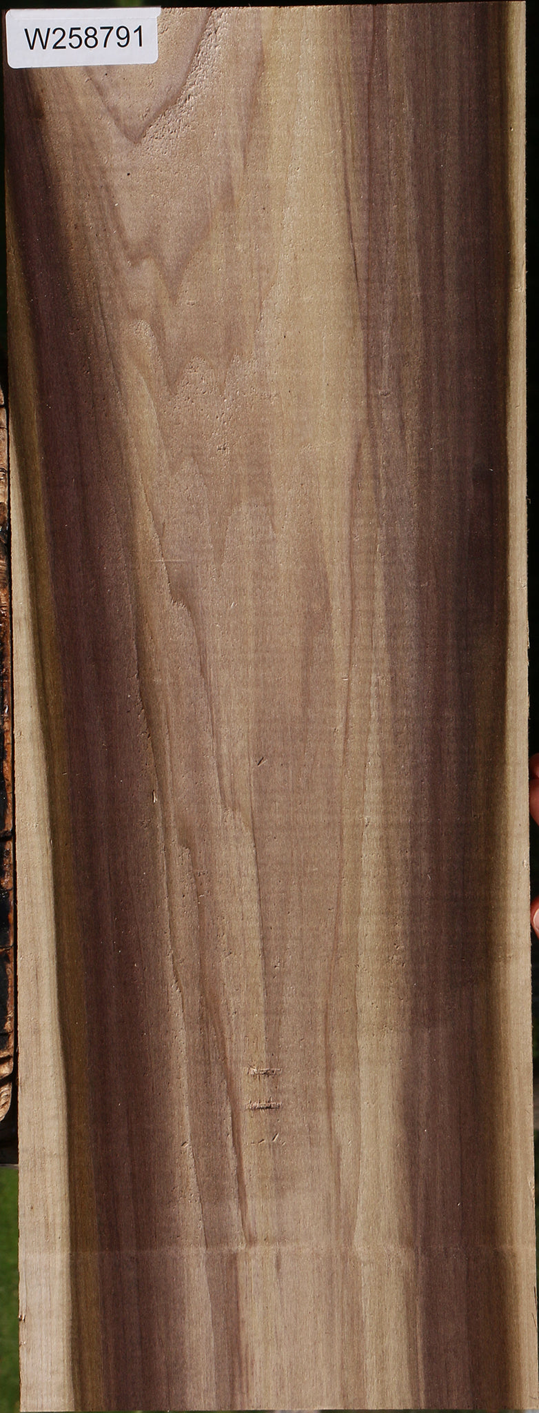 Purple Poplar Lumber