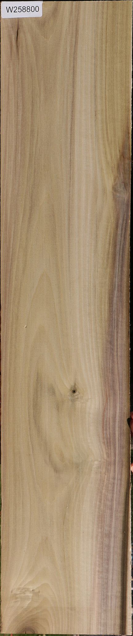 Purple Poplar Lumber