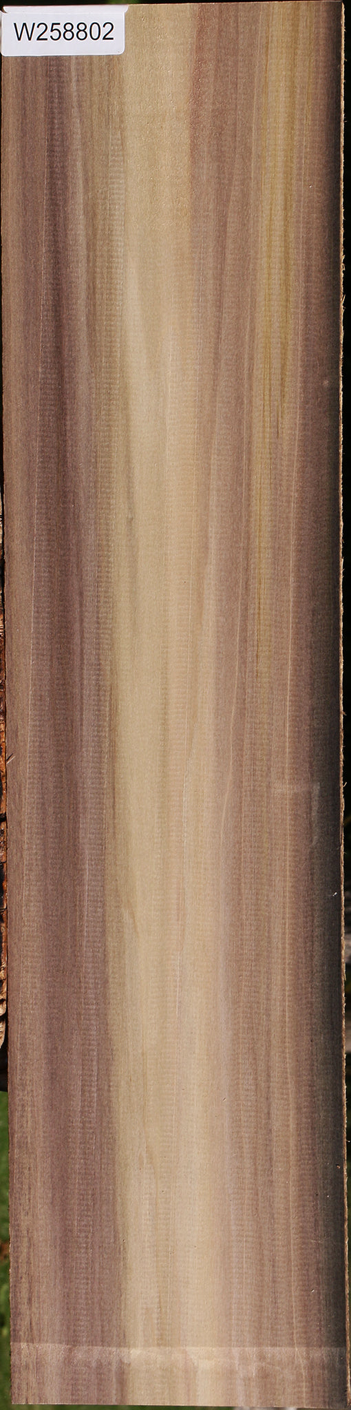 Purple Poplar Lumber