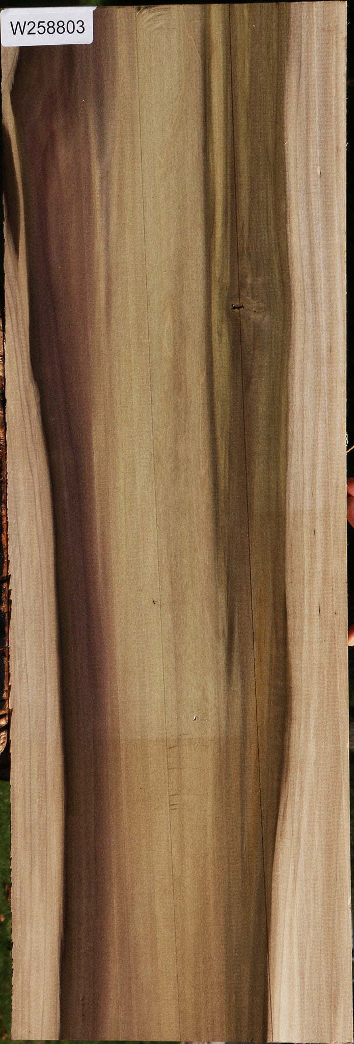 Purple Poplar Lumber