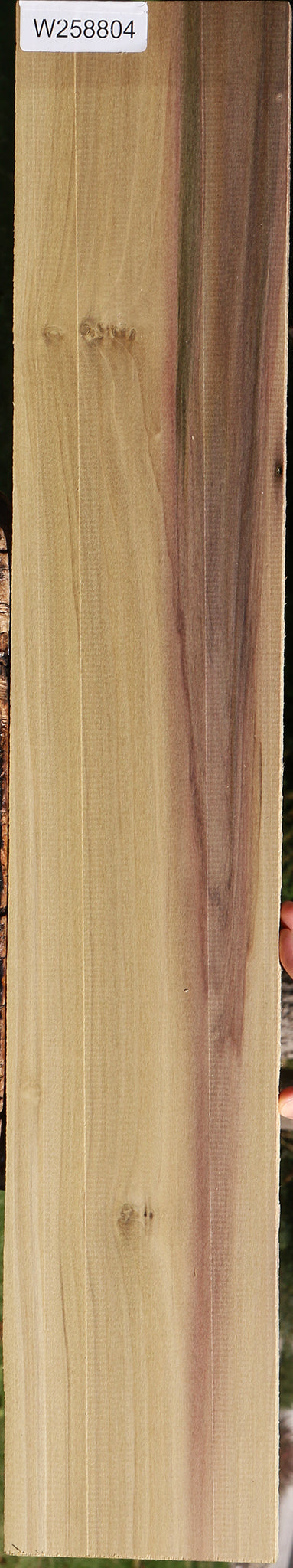 Purple Poplar Lumber