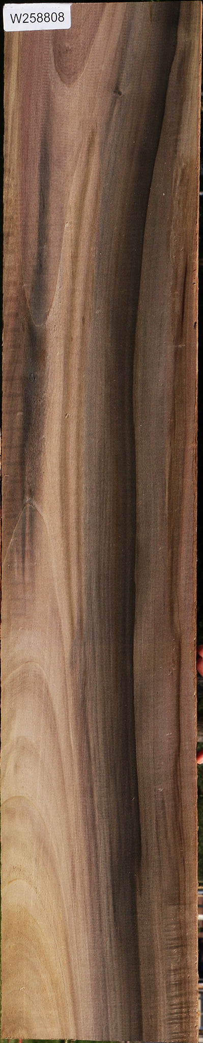 Figured Purple Poplar Lumber