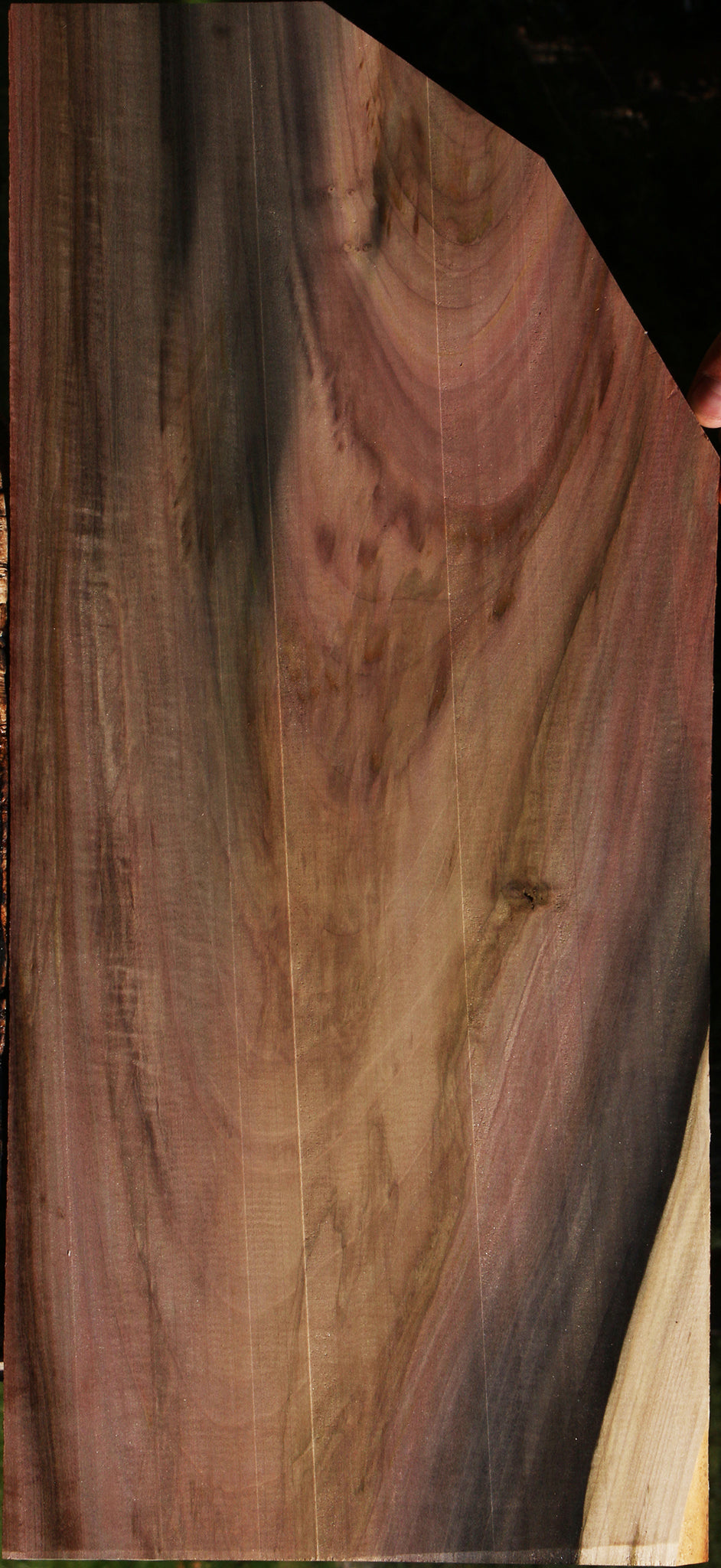 Extra Fancy Purple Poplar Lumber
