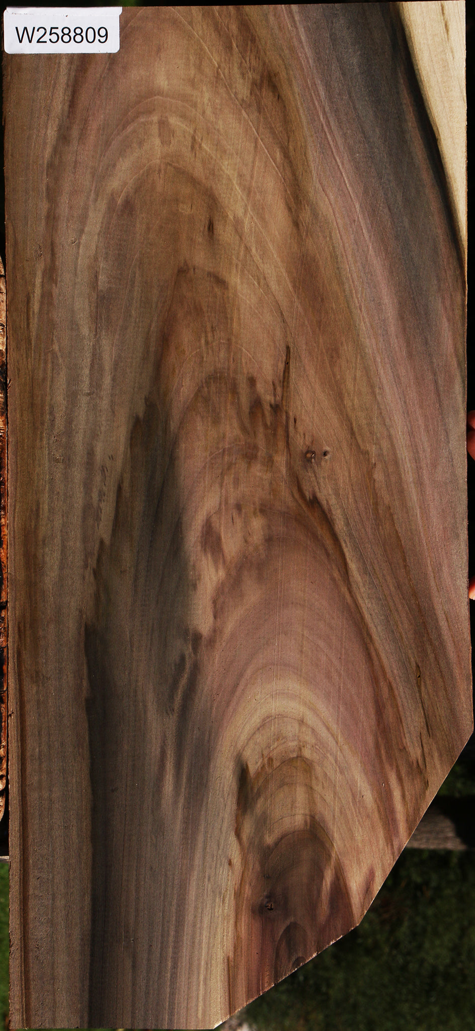 Extra Fancy Purple Poplar Lumber