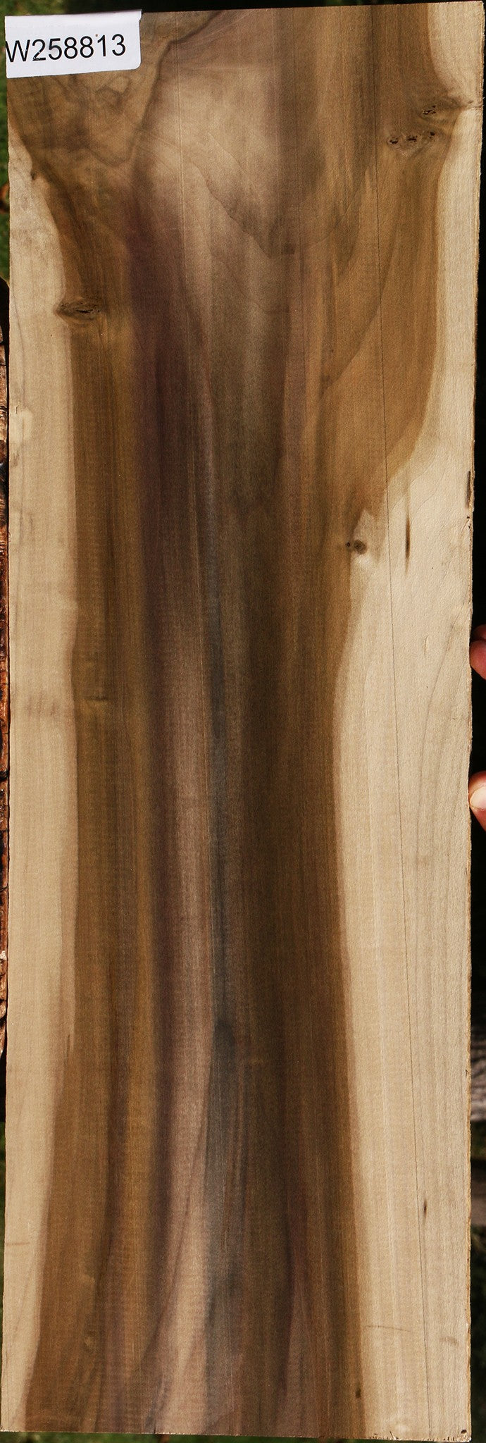 Figured Purple Poplar Lumber