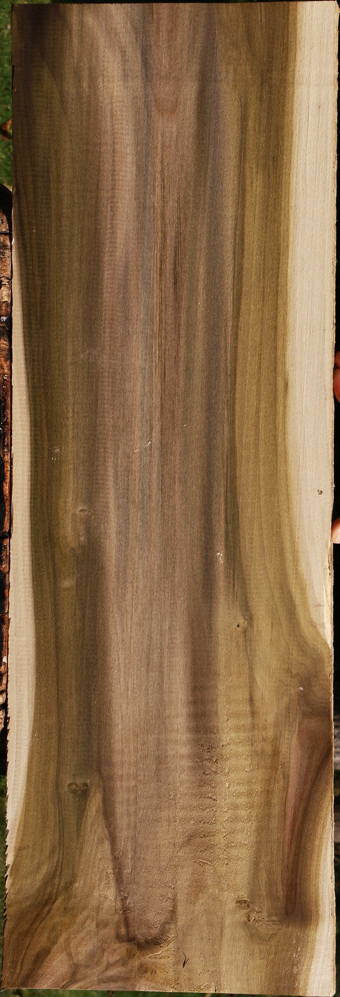 Figured Purple Poplar Lumber