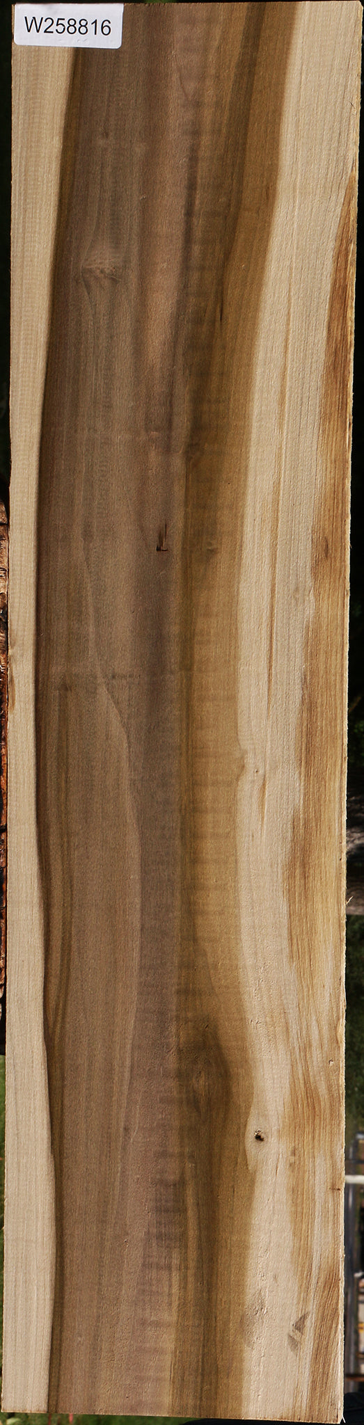 Purple Poplar Lumber