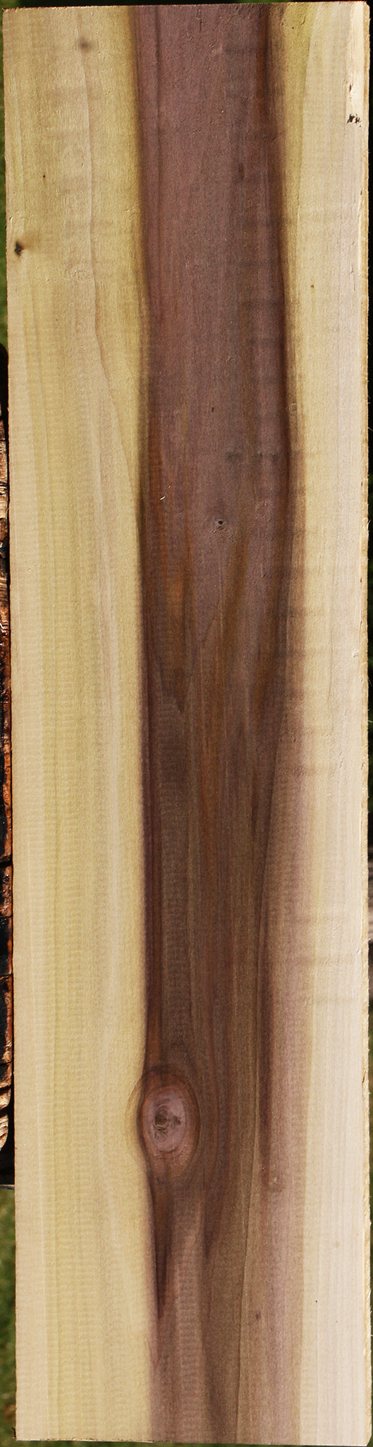 Purple Poplar Lumber
