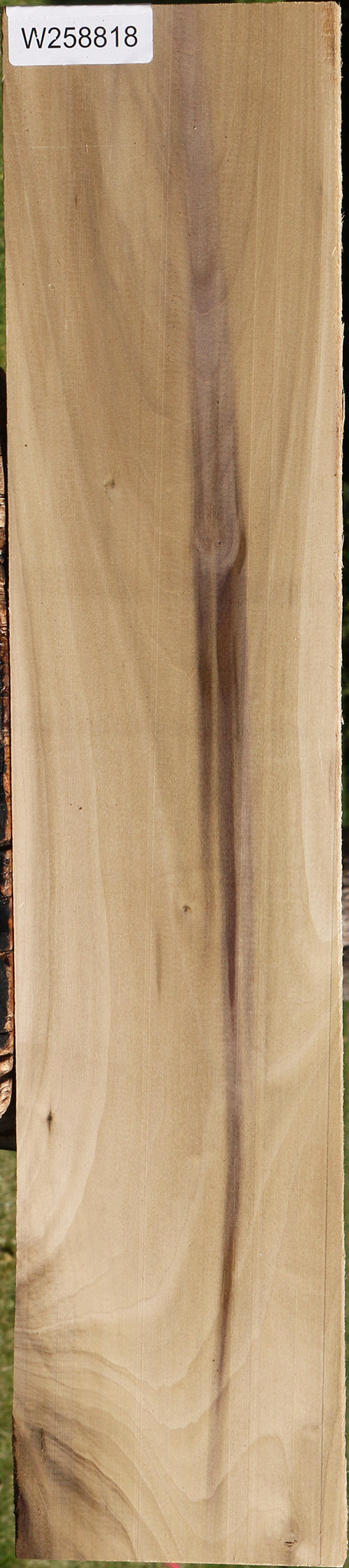 Purple Poplar Lumber