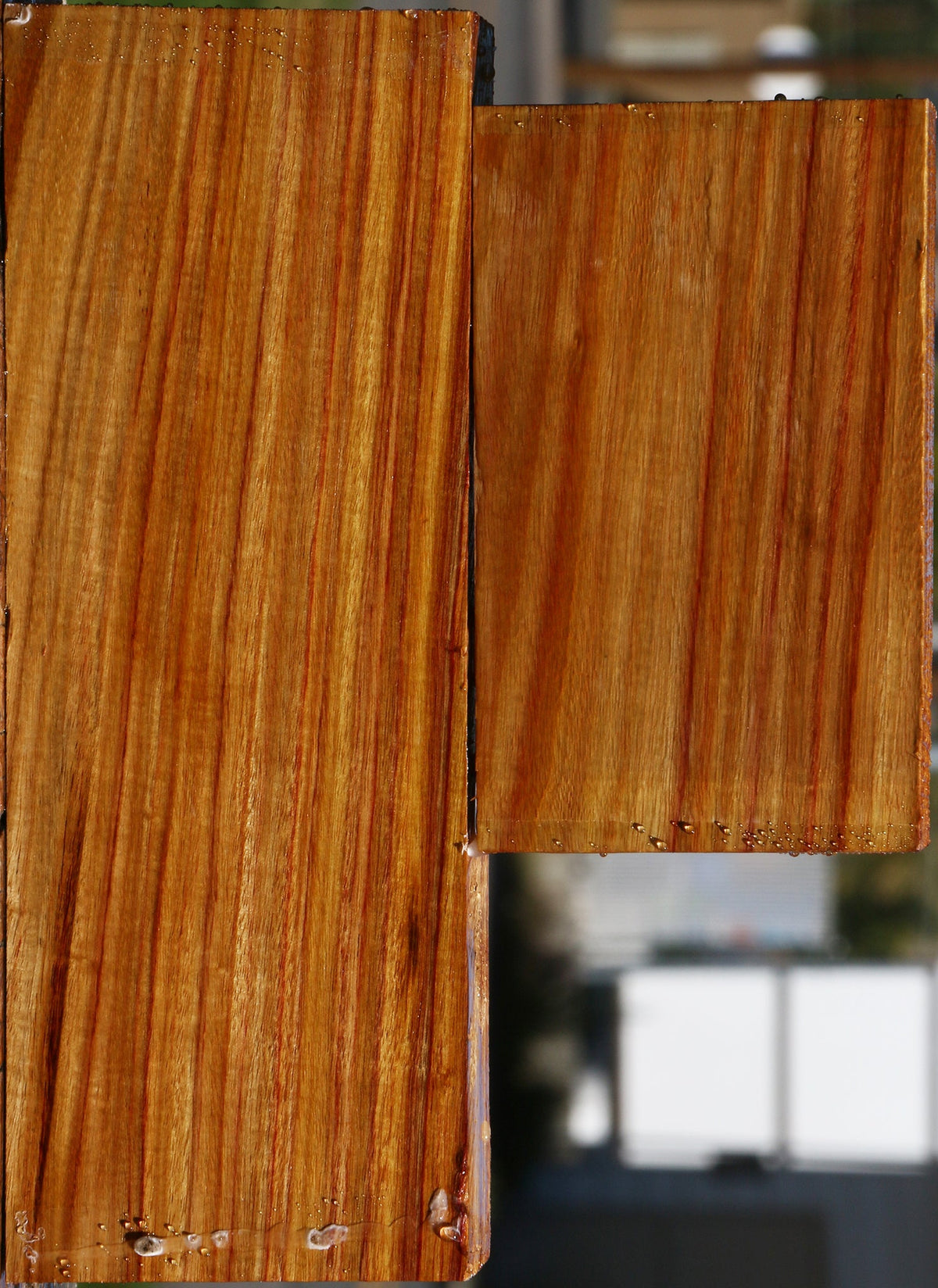 Canary Lumber 2 Pack