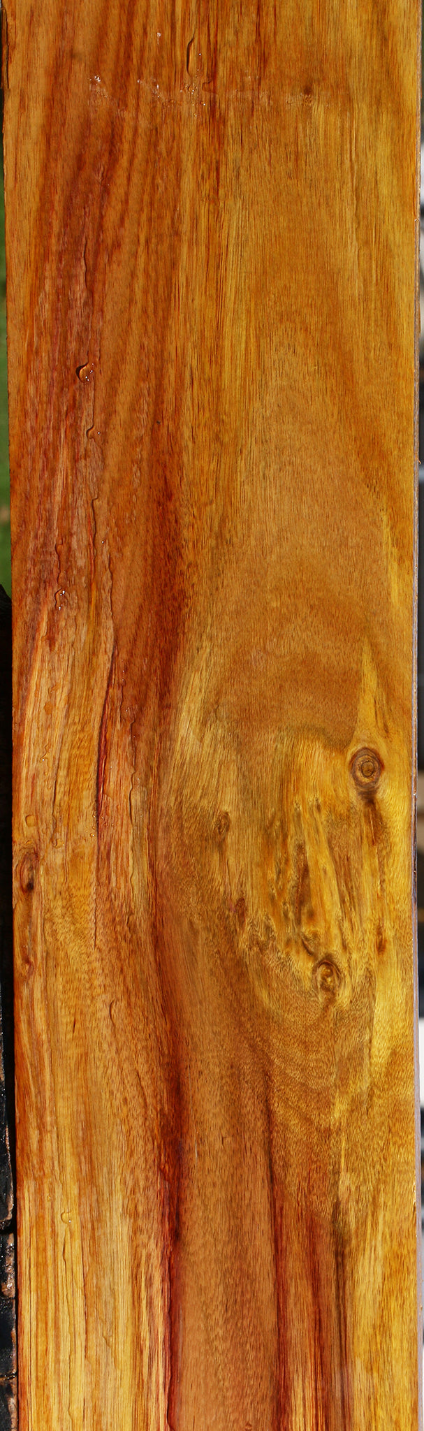 Canary Lumber