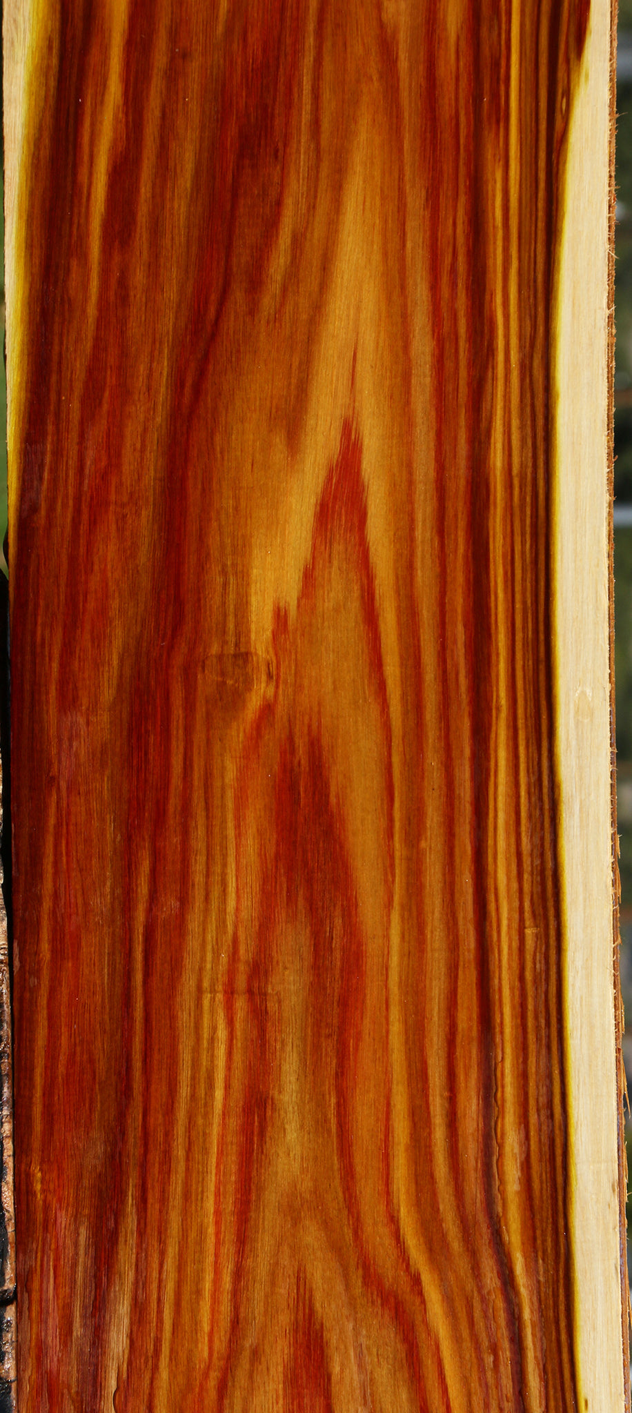 Figured Canary Lumber