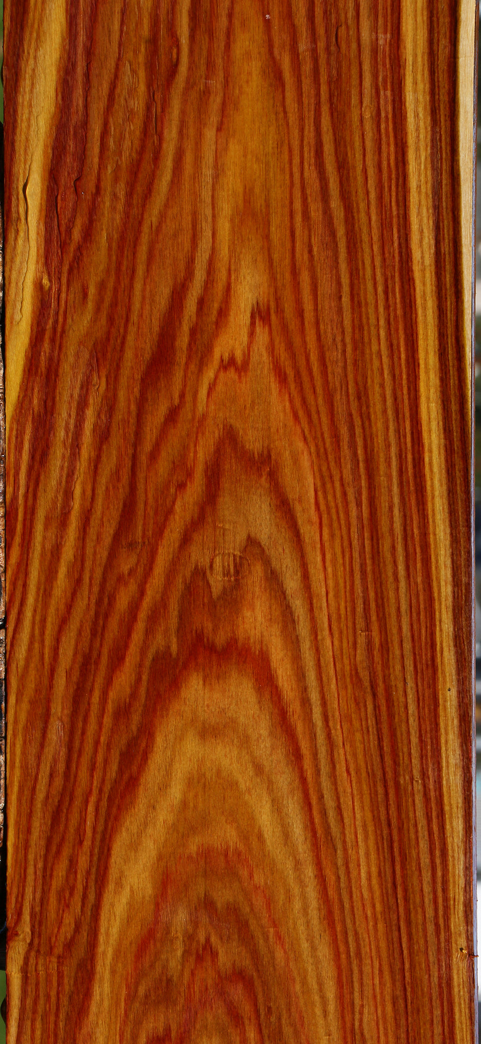 Extra Fancy Canary Lumber