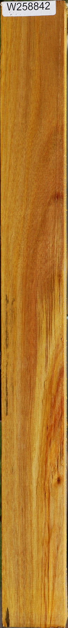 Canary Lumber