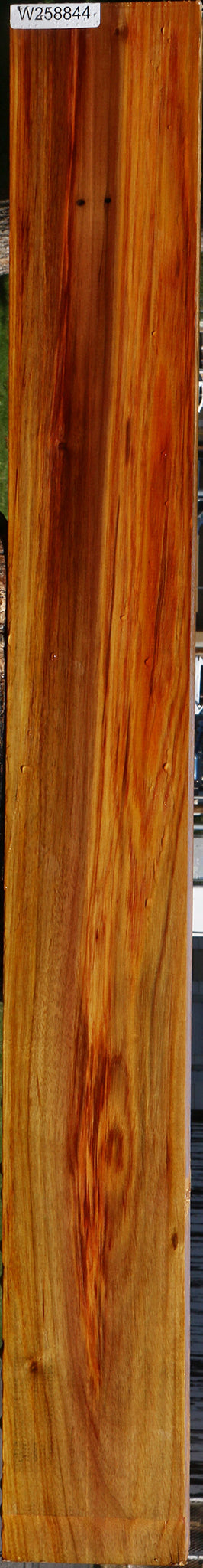 Canary Lumber