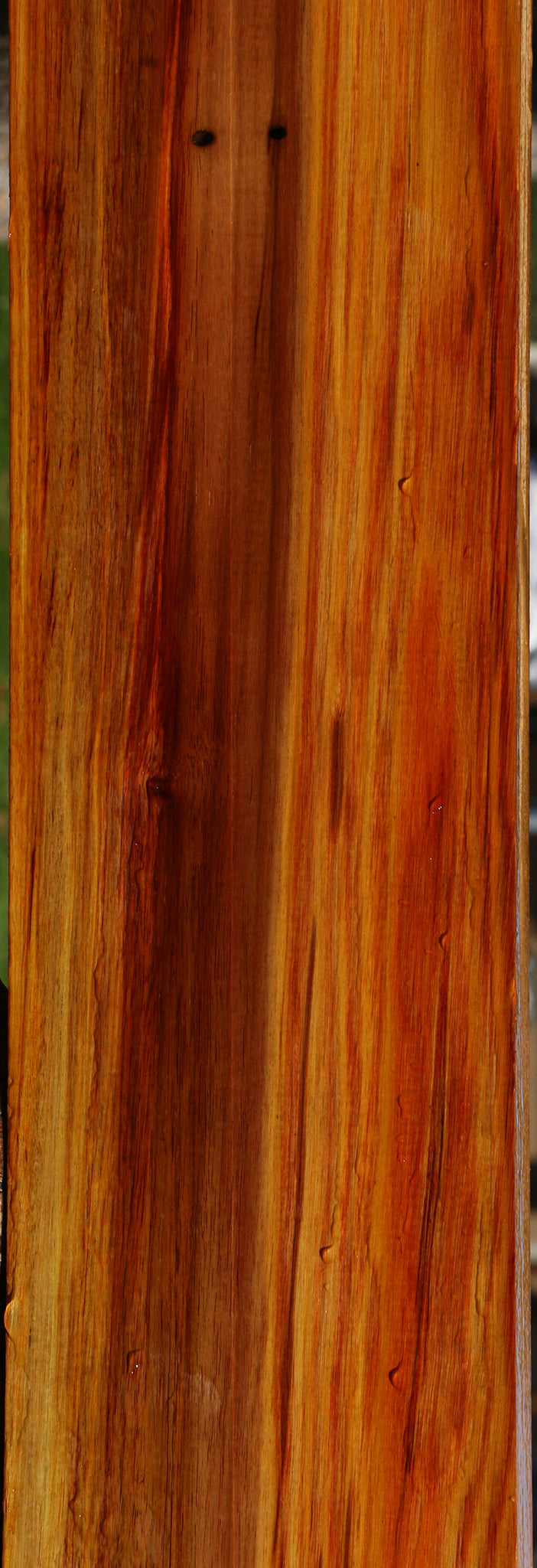 Canary Lumber