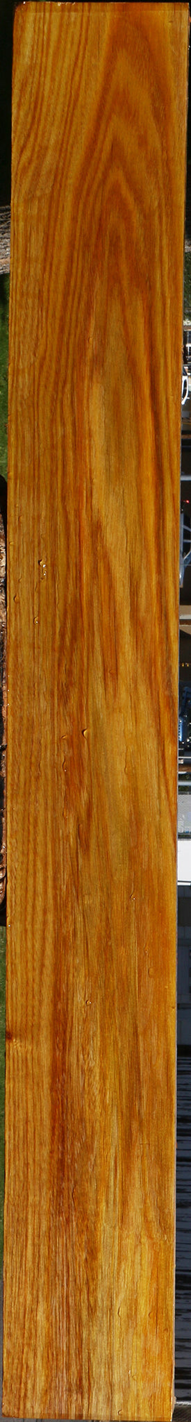 Canary Lumber