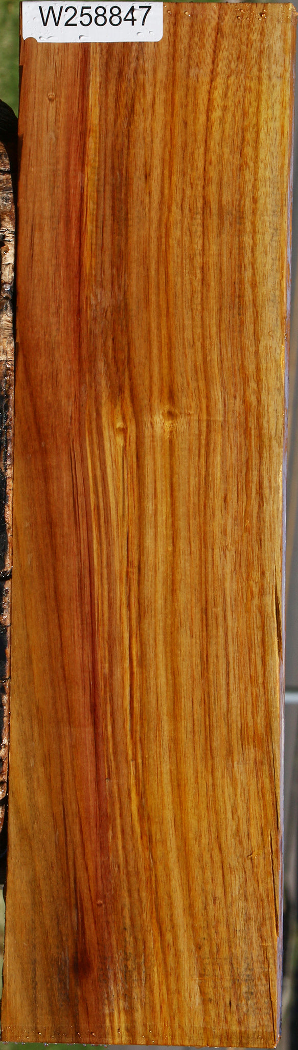 Canary Lumber