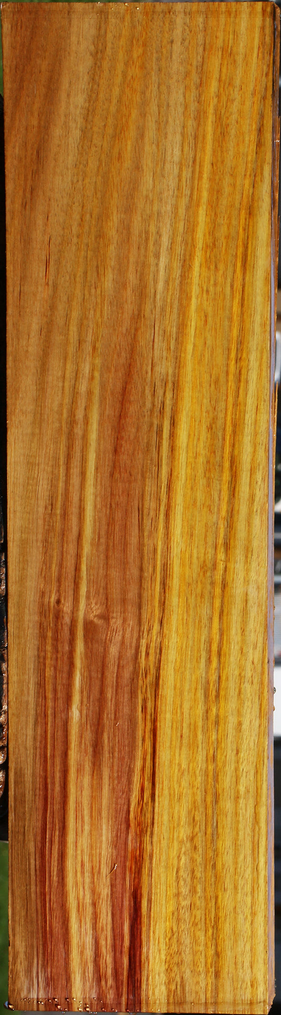 Canary Lumber