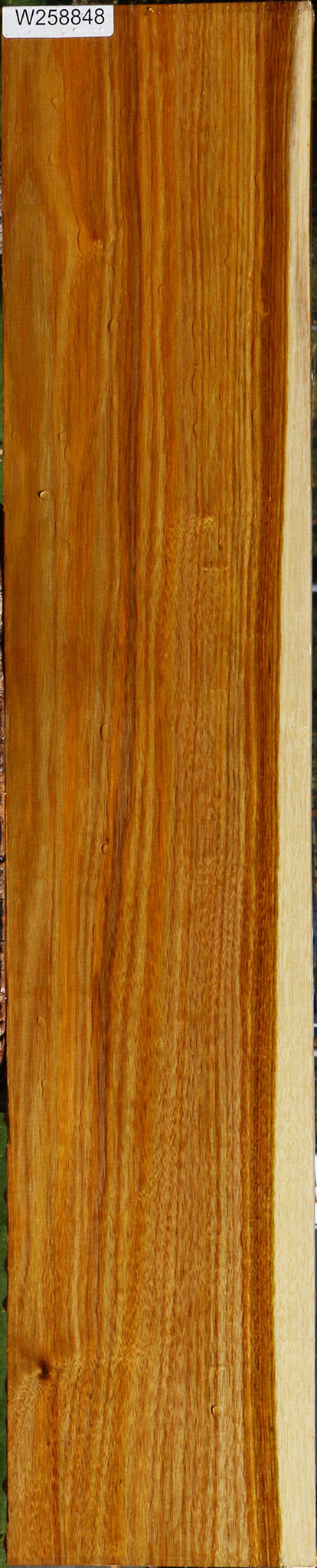 Canary Lumber