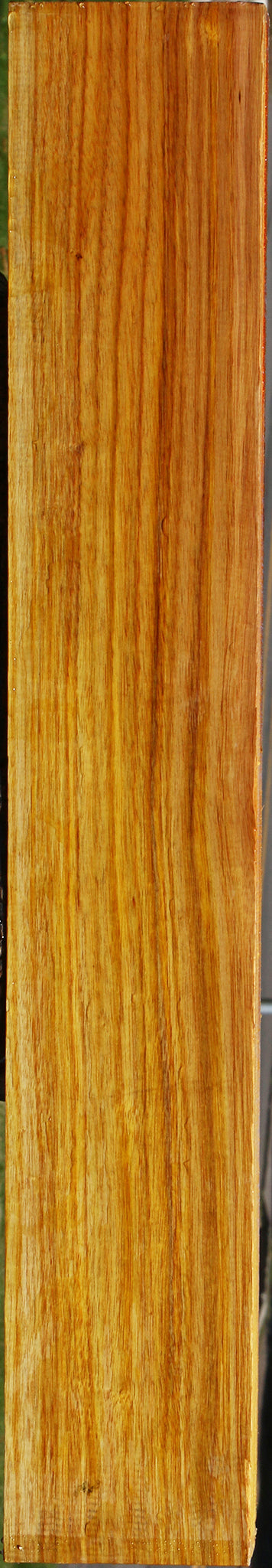 Canary Lumber