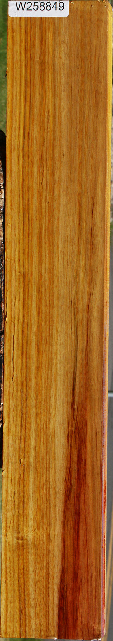 Canary Lumber