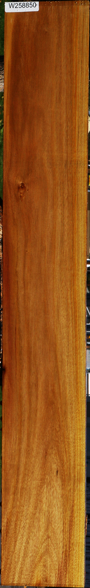 Canary Lumber