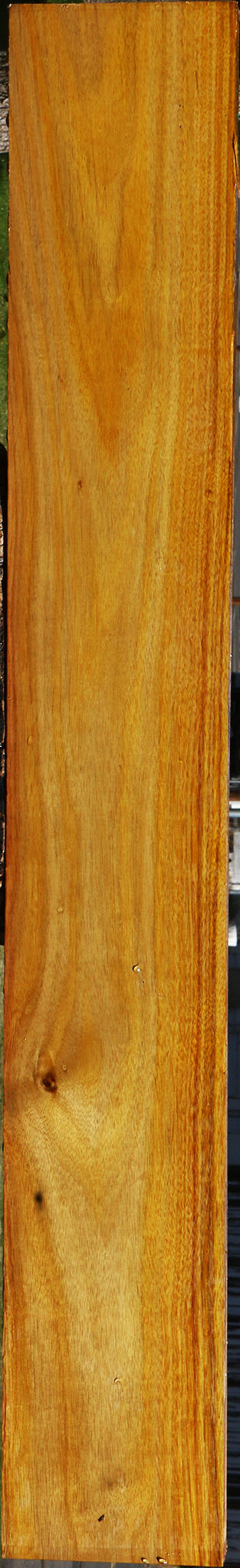 Canary Lumber