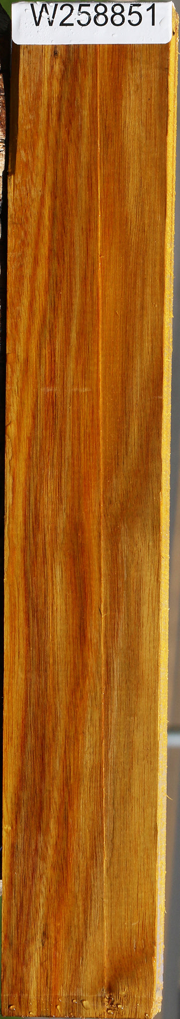 Canary Lumber