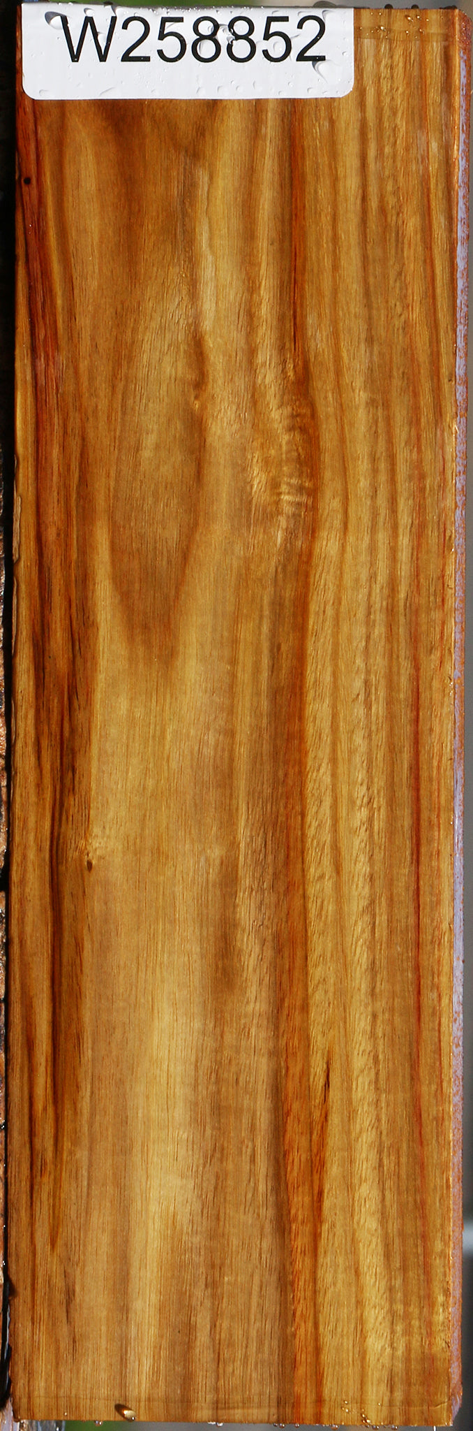 Canary Lumber