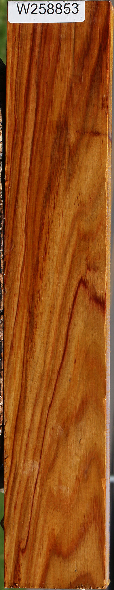 Canary Lumber