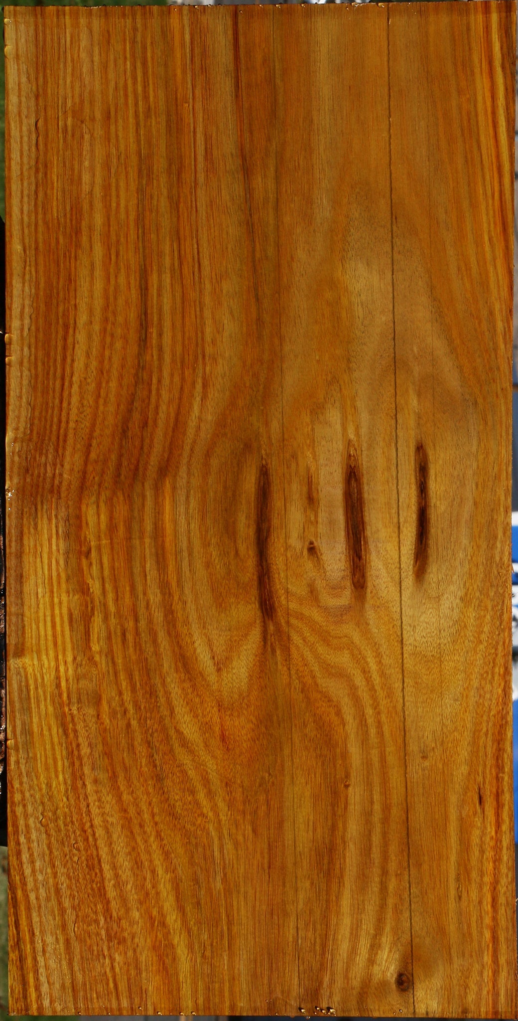 Canary Lumber