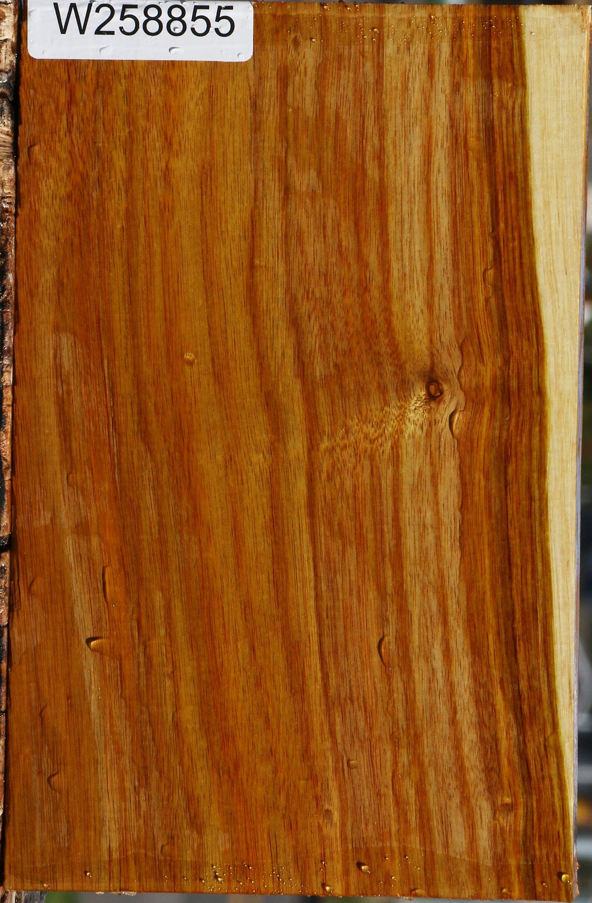 Canary Lumber