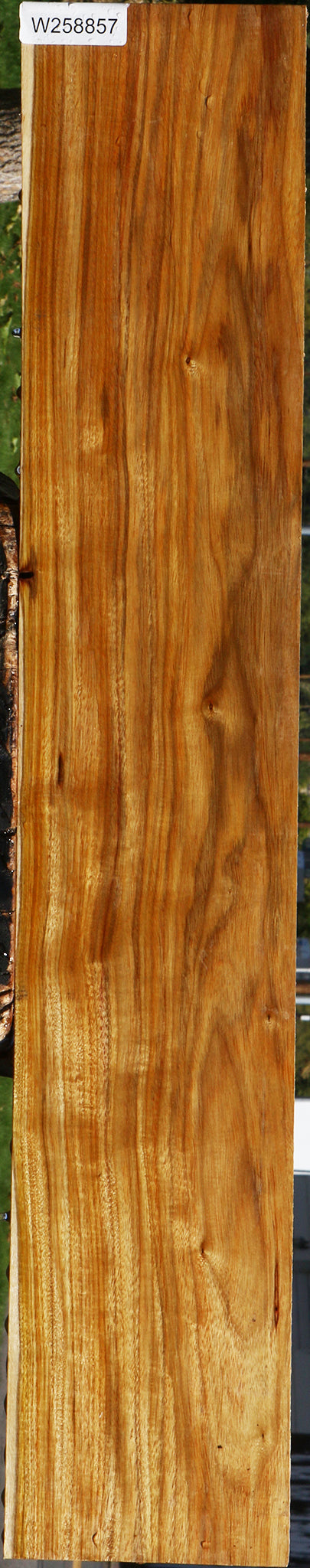 Figured Canary Lumber
