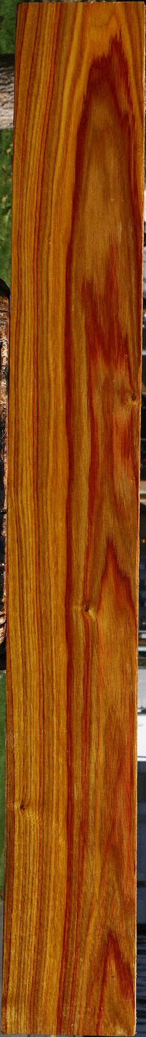 Canary Lumber