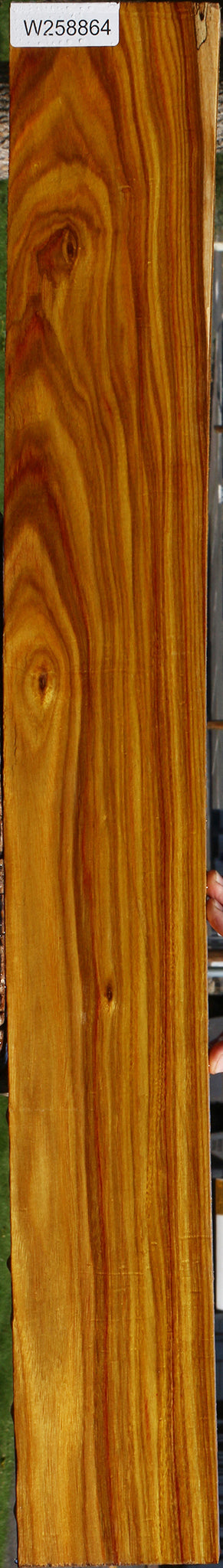 Canary Lumber