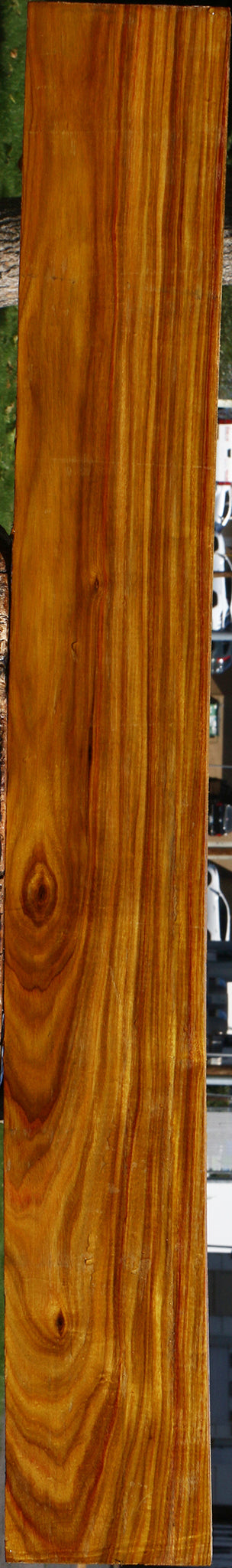 Canary Lumber