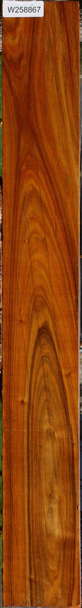 Canary Lumber
