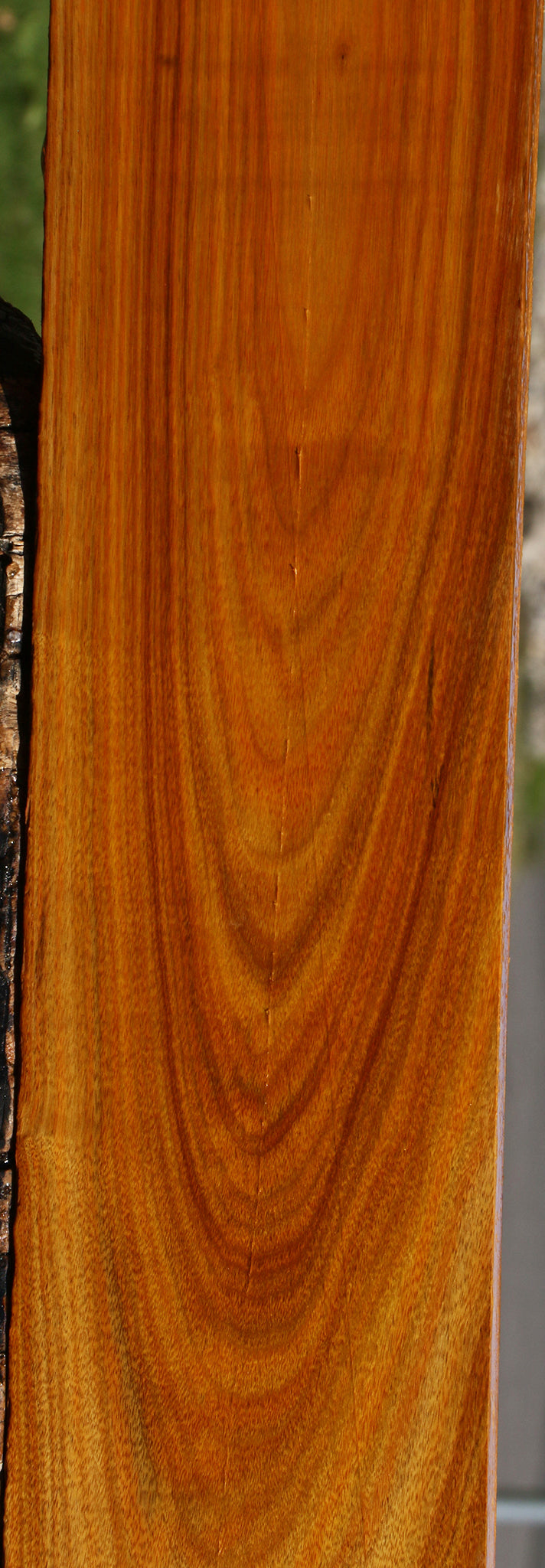 Canary Lumber