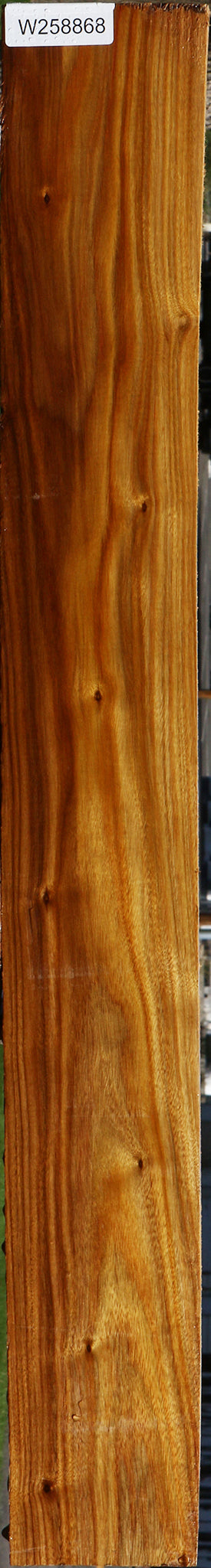 Canary Lumber