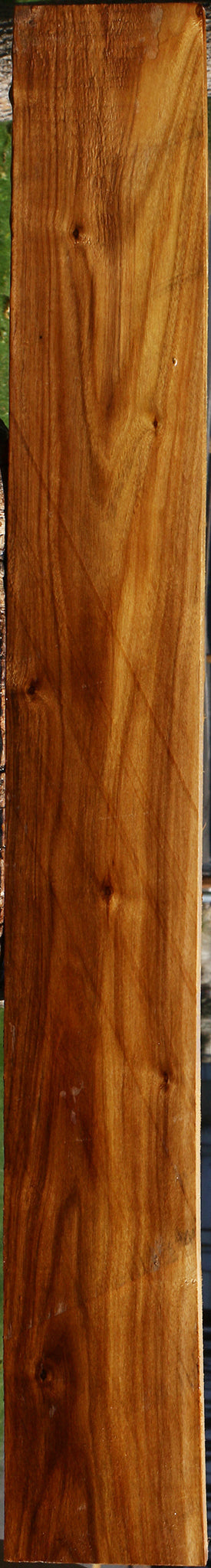 Canary Lumber