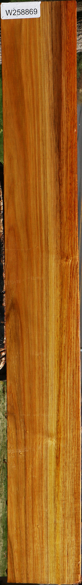 Figured Canary Lumber