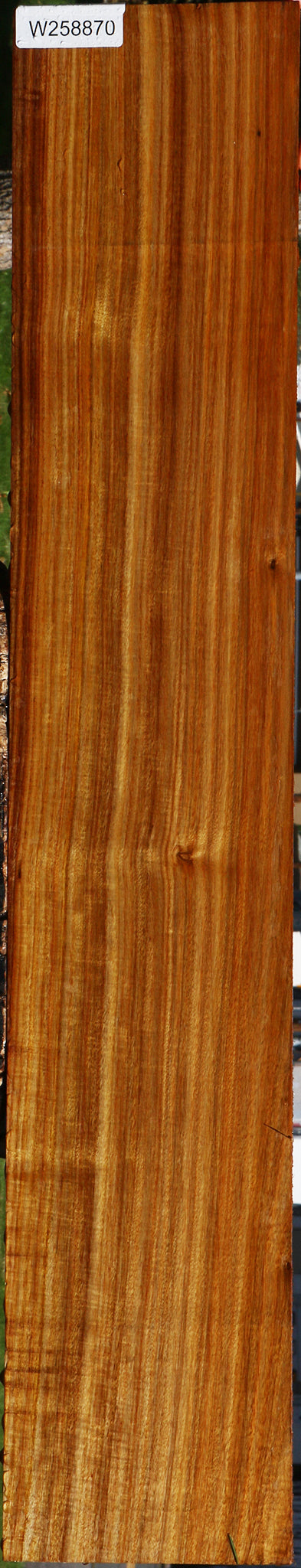 Extra Fancy Canary Lumber