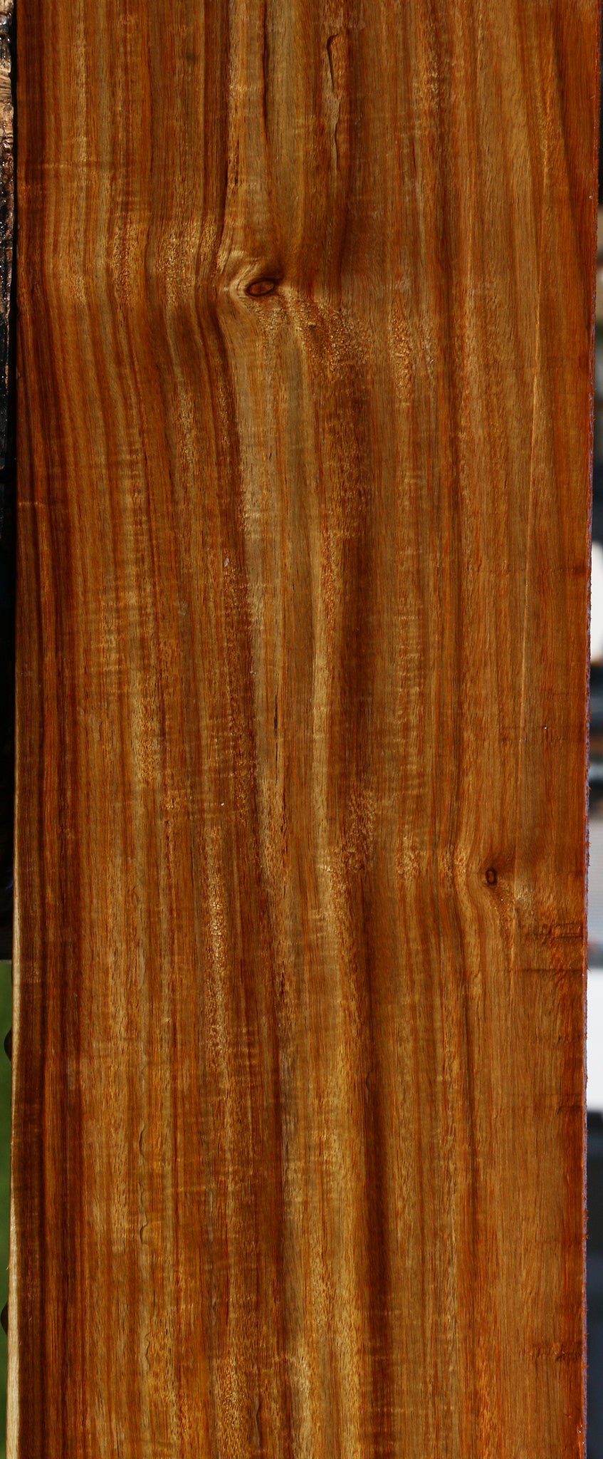 Extra Fancy Canary Lumber