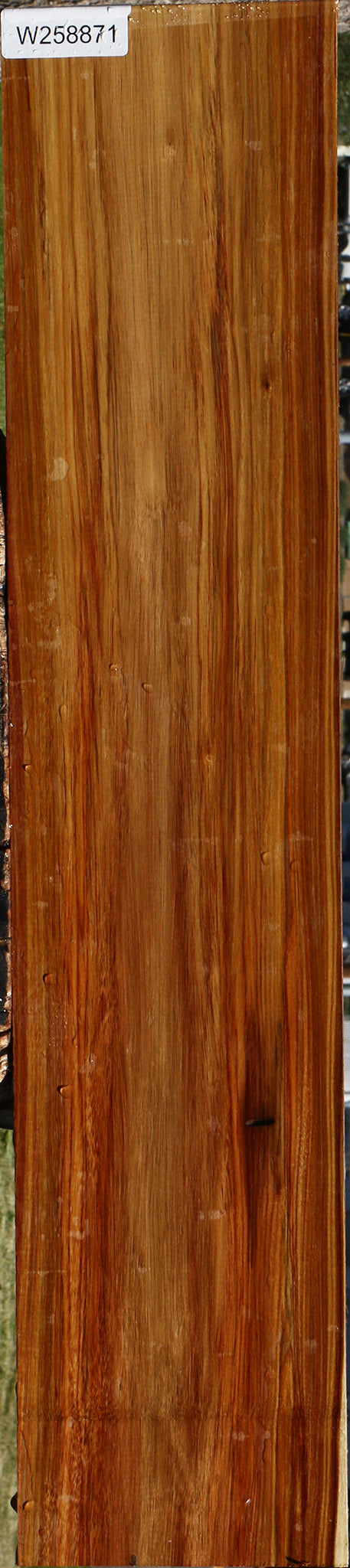 Canary Lumber