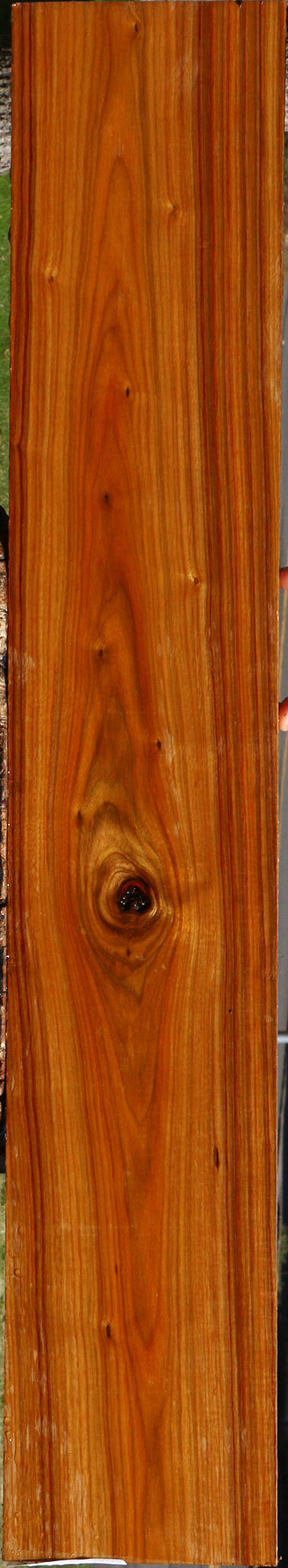 Canary Micro Lumber