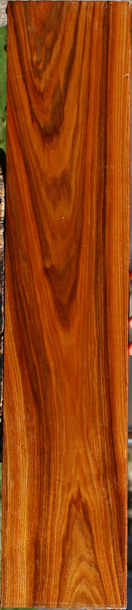 Canary Lumber